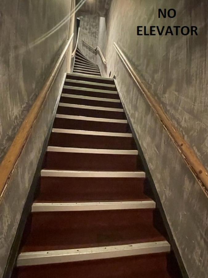 Bett im gemischten 6-Bett-Schlafsaal